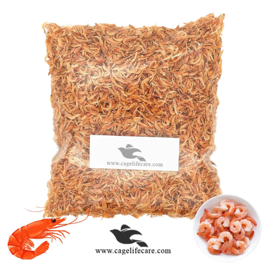 Dried Small Prawn (Jheenga) – High-Protein Natural Treat for Birds