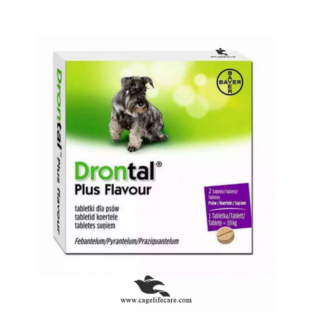 Drontal Plus for Dogs (1 Tablet) – Broad Spectrum Dewormer for Puppies & Adult Dogs