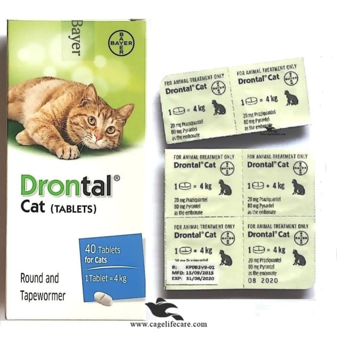 Drontal Tablet for Cats (Imported, 1 Tablet) – Broad Spectrum Wormer for Cats & Kittens