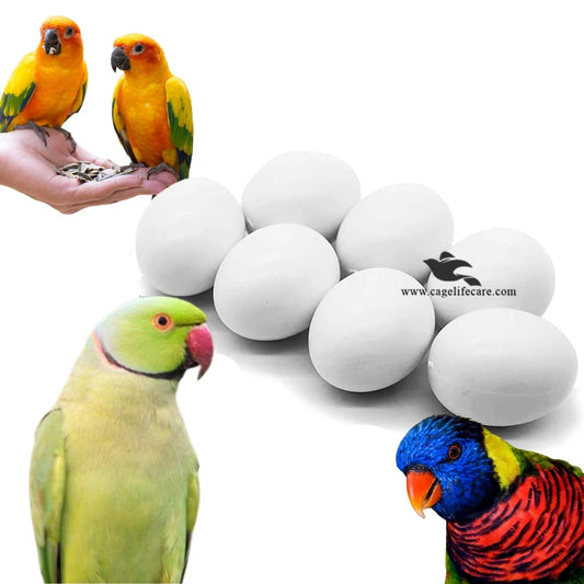 Dummy Eggs For Medium Parrots (Ringnecks, Lorries, Sun Conures)
