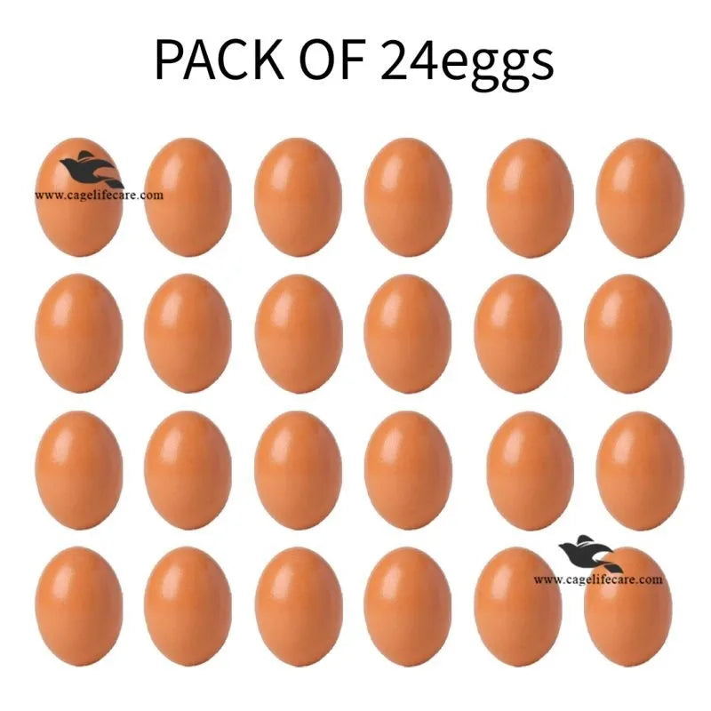 Dummy Eggs for Hens, Chickens & Ground Birds Pack of 24 eggs