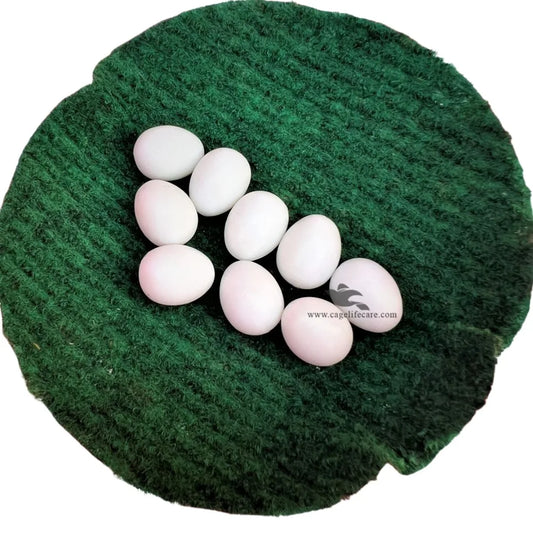 Dummy Eggs for Medium-Sized Parrots ( Lovebird, Budgies Doves ) - artificial eggs look like real