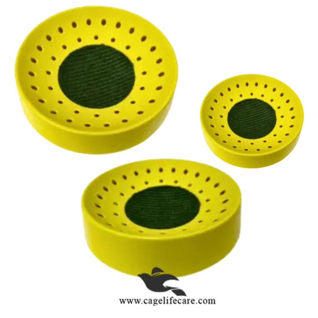 Economical Nest Bowl for Pigeons & Doves 8.5inch Yellow