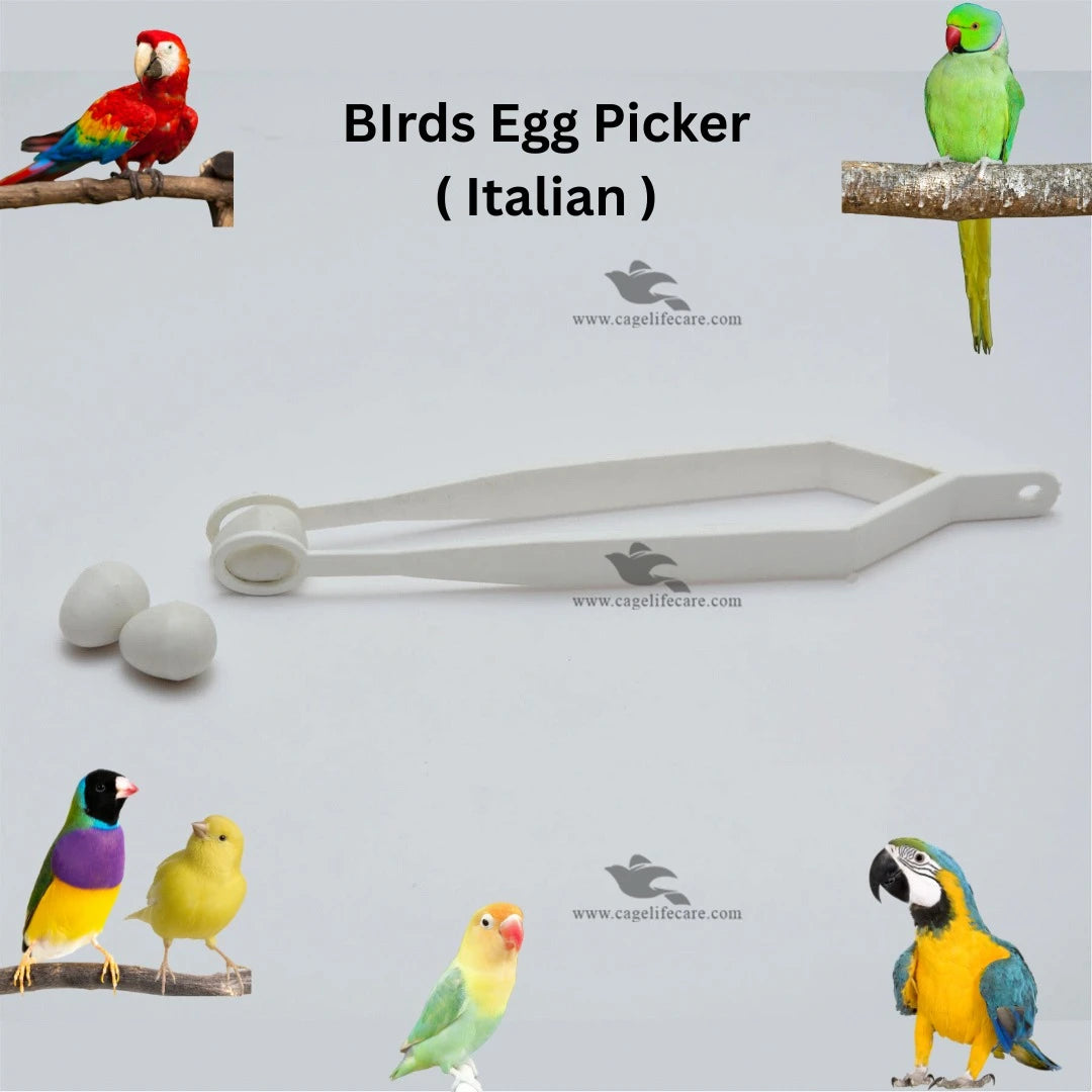 Egg Picker Tool ( Italy ) no hands use pick your bird egg