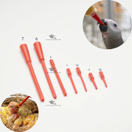 Feeding Soft Tube for Birds – Hand Feeding Solution for Baby & Adult Birds