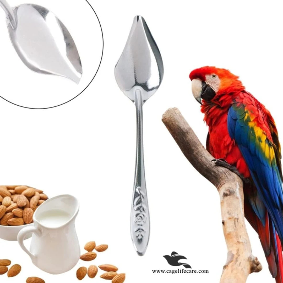 Feeding Spoon – Stainless Steel Hand Feeding Tool for Birds