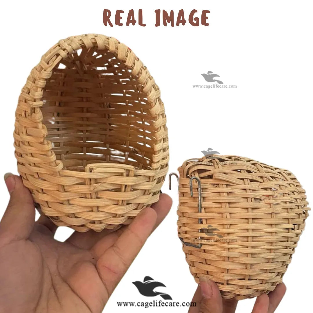 Finch Bamboo Nest – Natural Nesting Solution for Healthy Breeding Real Image in hand