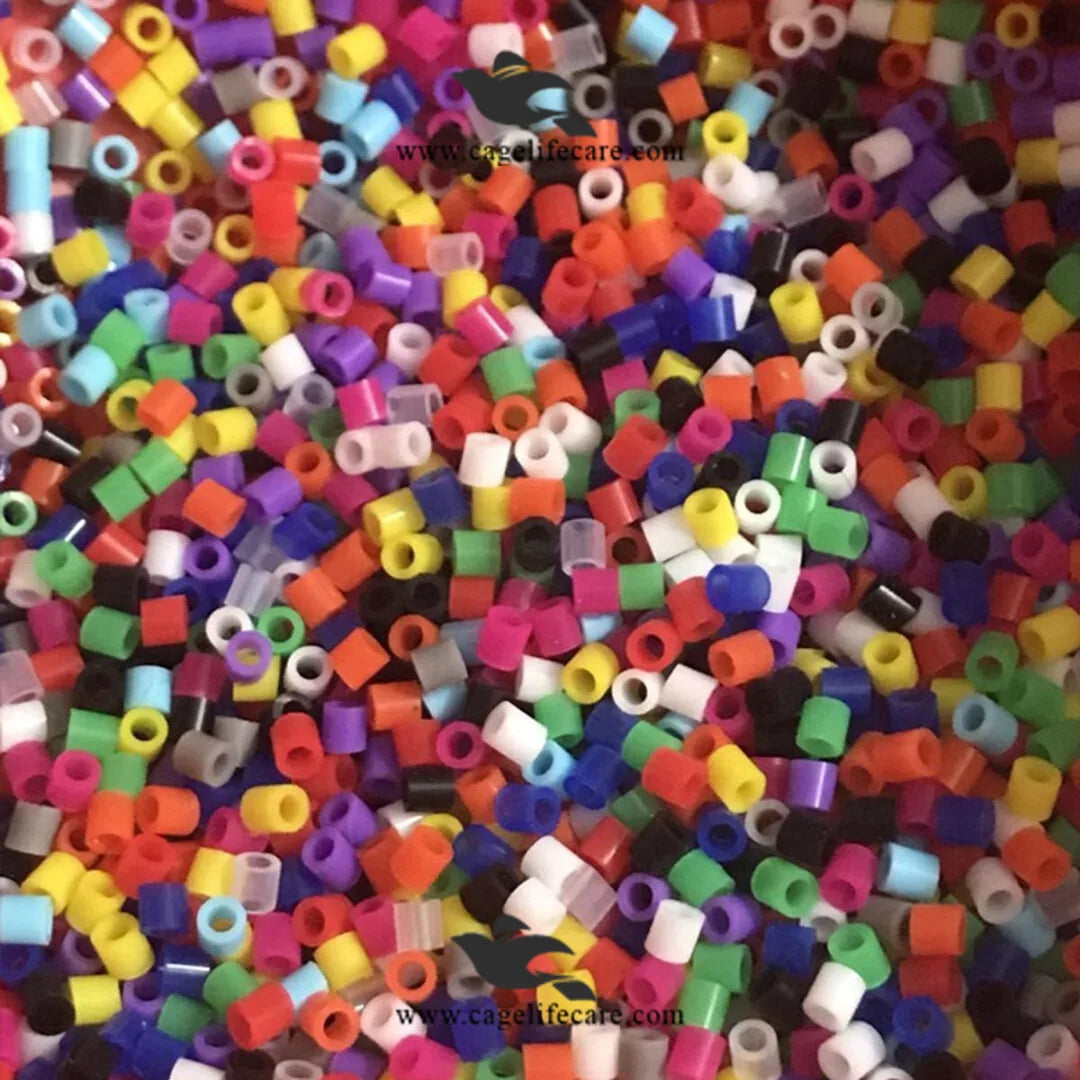 Finches Plastic Rings – 50pcs Multi-Color Identification Bands