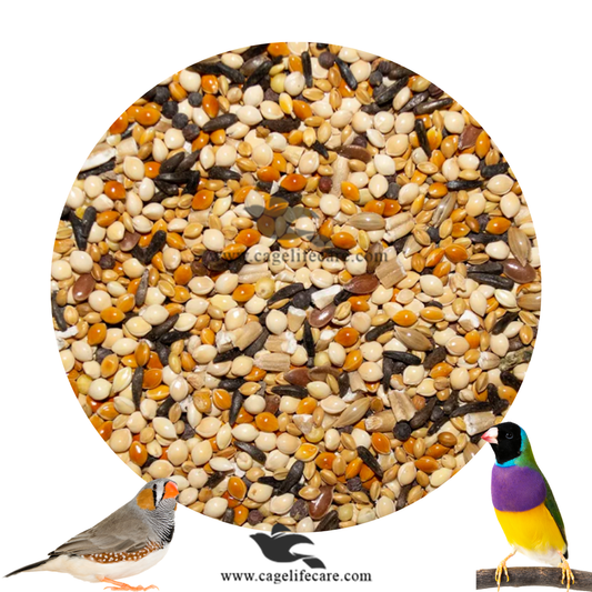 Finches Seed Mix