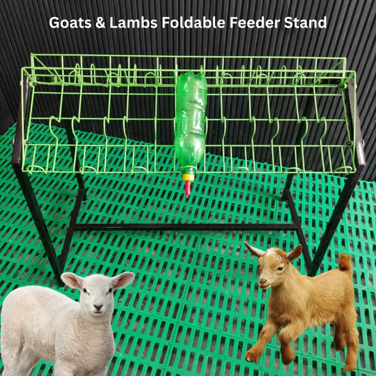 Foldable 14 Feeders Stand for Baby Goats and Sheeps