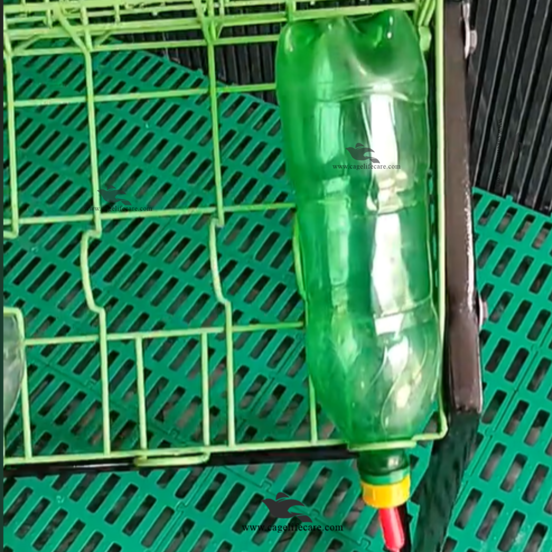 Foldable 14 Feeders Stand for Baby Goats and Sheeps