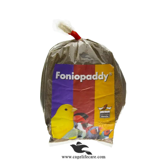Fonio Paddy Seed – Natural Treatment for Coccidiosis