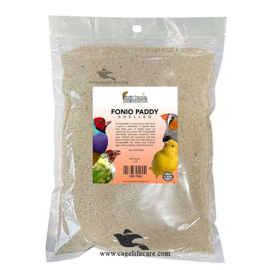 Fonio Paddy Seed – Natural Treatment for Coccidiosis