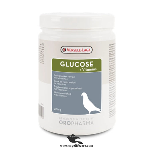 Glucose + Vitamins - Promote Recovery After Flying or illness