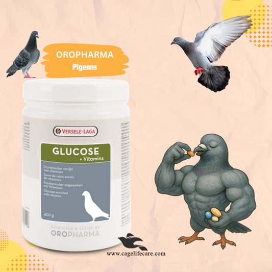 Glucose + Vitamins - Promote Recovery After Flying or illness