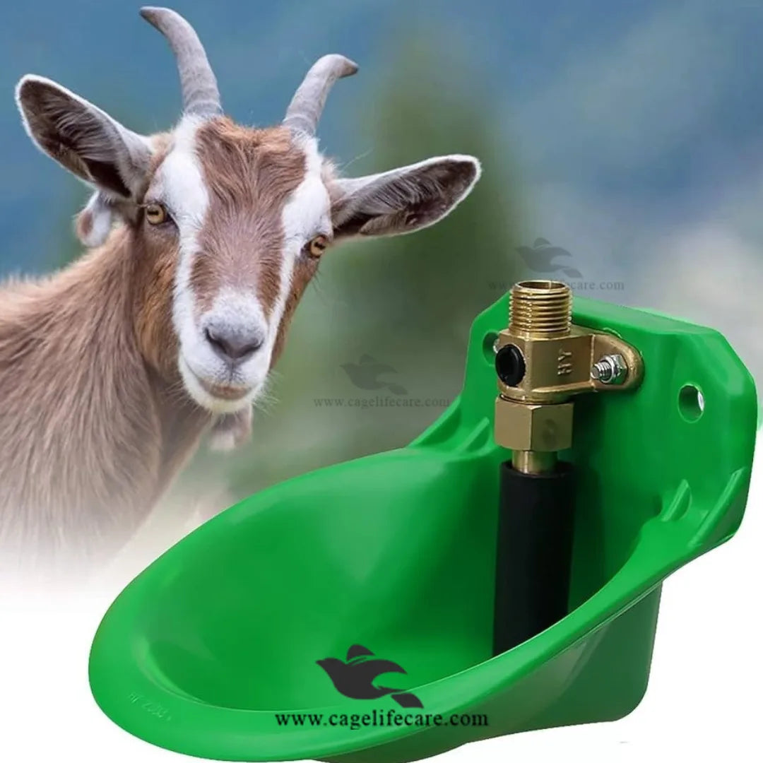 Goat Auto Drinker - 1L Automatic Water Bowl ( Brass Valve )