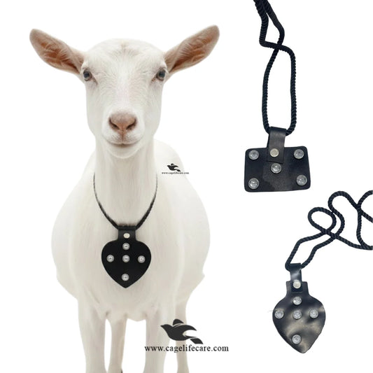 Black leather Taweez-style necklace for goats and sheep