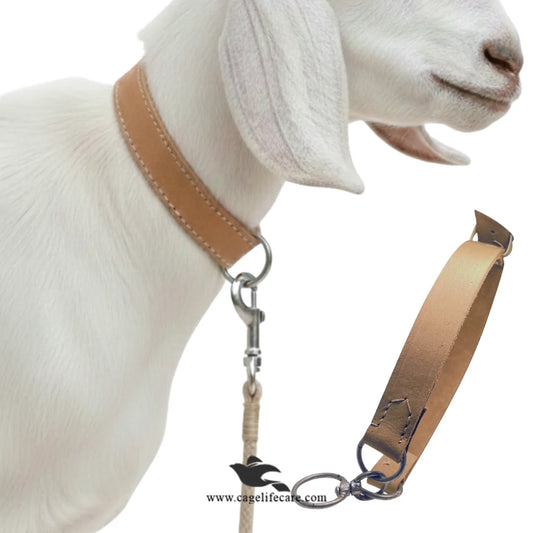 Brown leather neck belt for goats and sheep