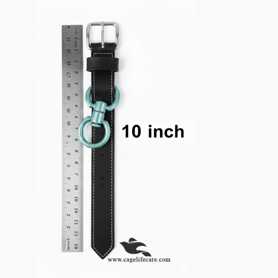 Durable leather leg belt for goat and sheep roping 10inch