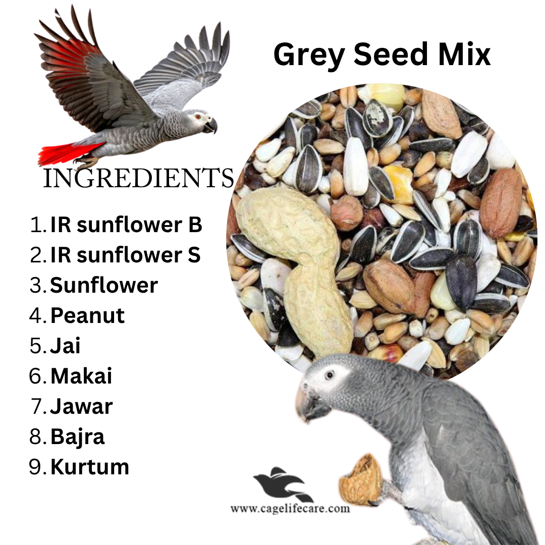 Grey Parrot Seed Mix Ingredients