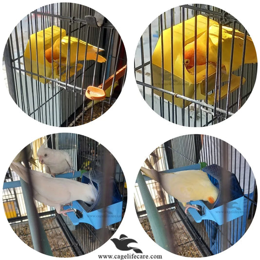 Grit-O-Feeder Pot For Grit For Birds for all parrots