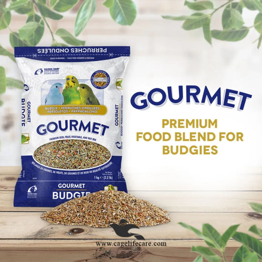 Hagen Budgies Seed Mix – Gourmet Premium Seed for Small Parakeets