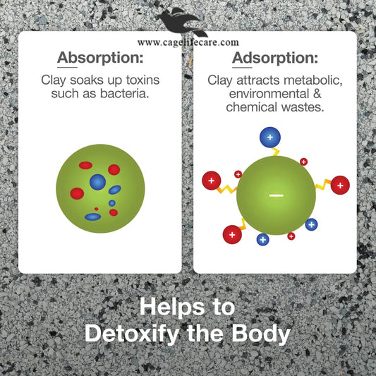 Hagen Clay Cal – Calcium Enriched Clay Supplement for Birds