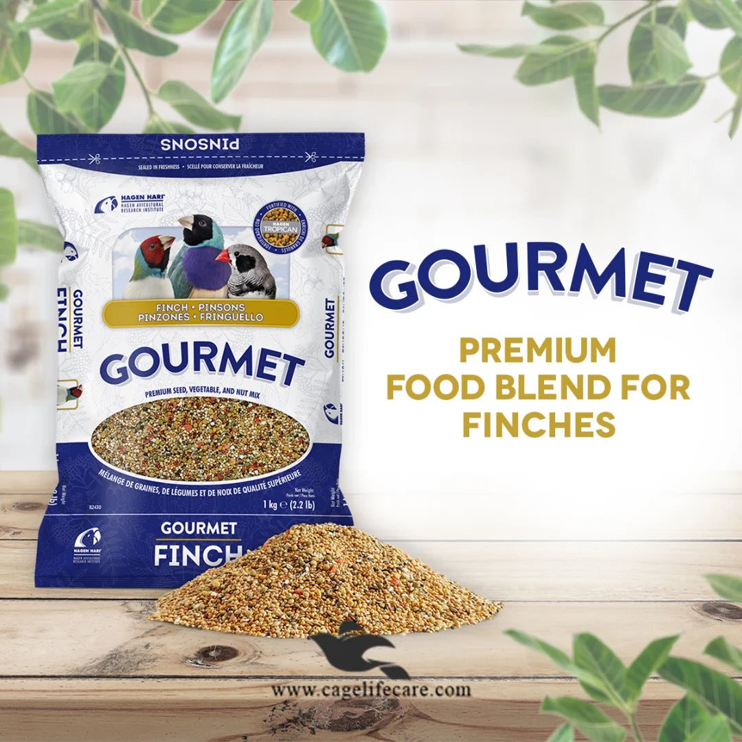Hagen Gourmet Finch – Premium Seed Blend for Finches