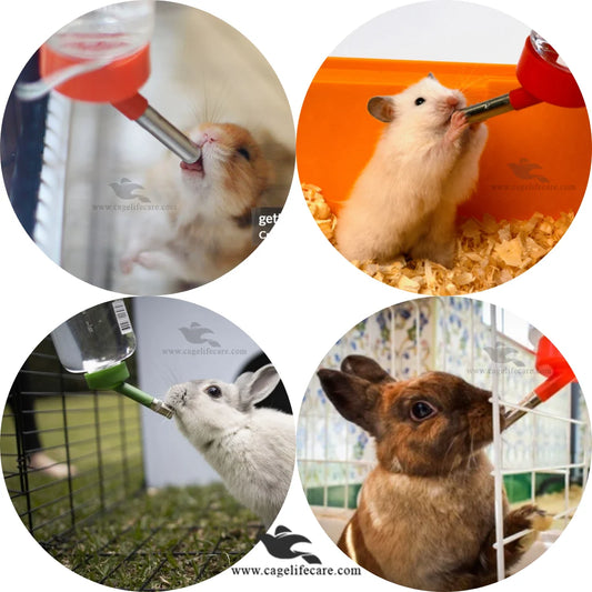 Hamster Water Bottle Drinker for Small Animals & Birds hamster and rabbits drinking water