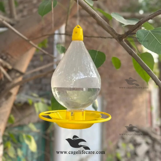 Automatic Bird Water Feeder for Garden and Balcony