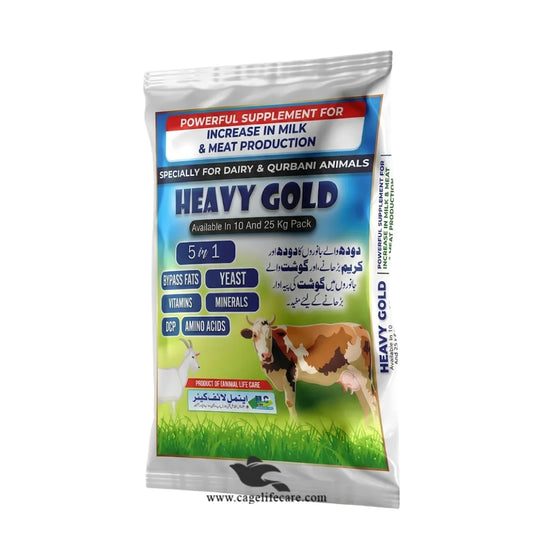heavy gold livestock supplement