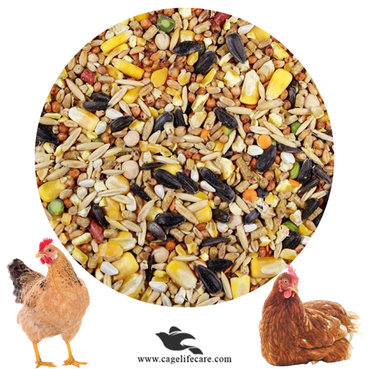 Hens Seed Mix