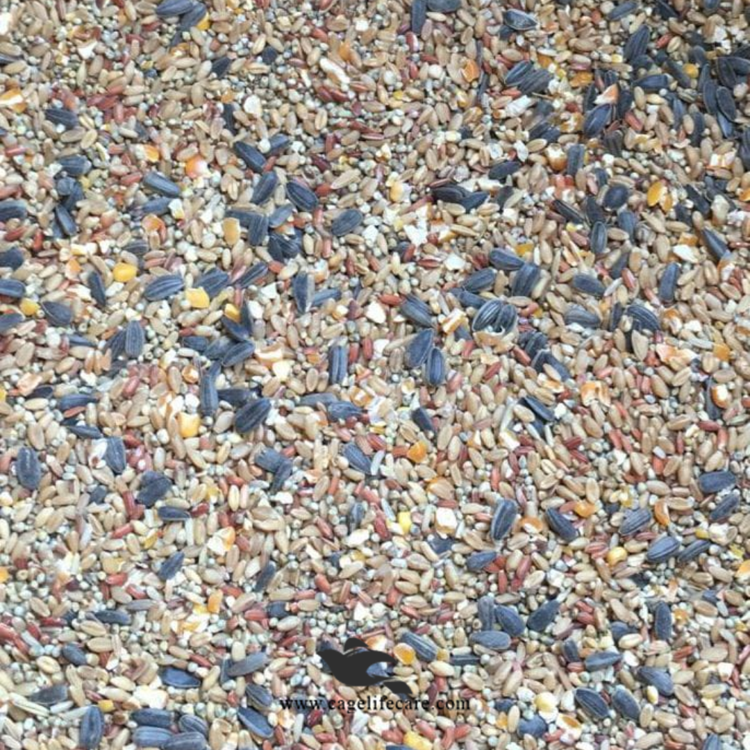 Hens Seed Mix original