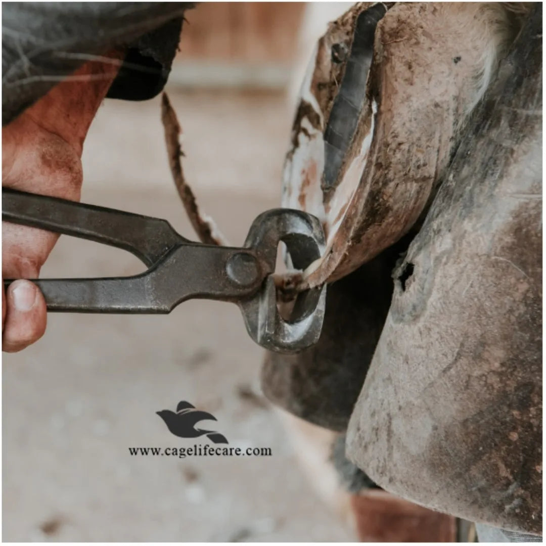 Farrier Hoof Nippers 15″ – Horseshoe Trimming Tool