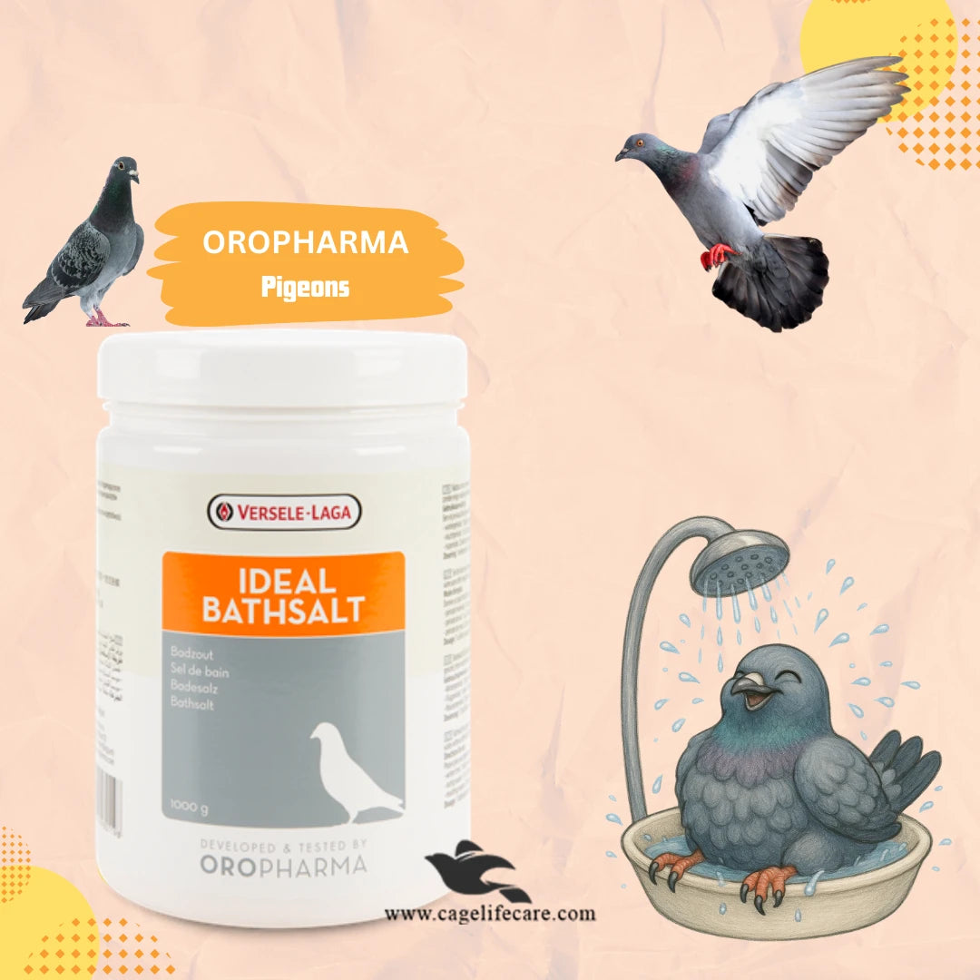 Ideal Bath Salt - Promotes Flexible Feathers & Perfect Plumage