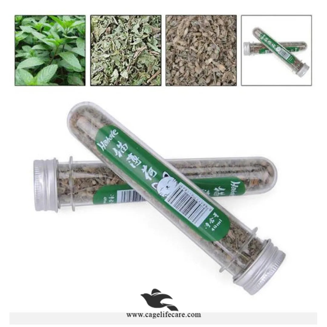 Imported Catnip Tube Leaves – Highly Potent Catnip Powder for Cats (40ml)