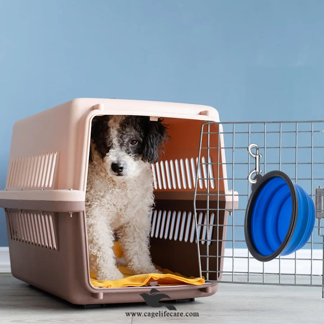 Imported Jet Box Airline-Approved Pet Carrier for Cats & Dogs