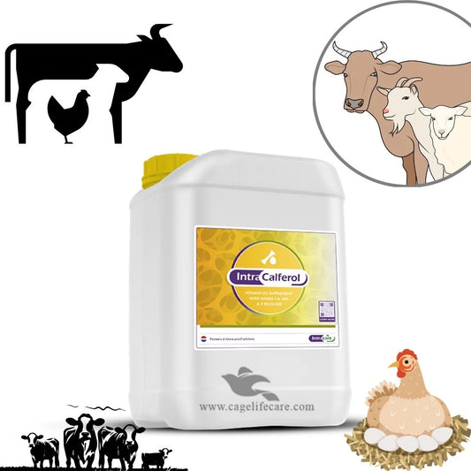 Intra Calferol – Liquid Calcium & D3 Supplement for Poultry & Birds