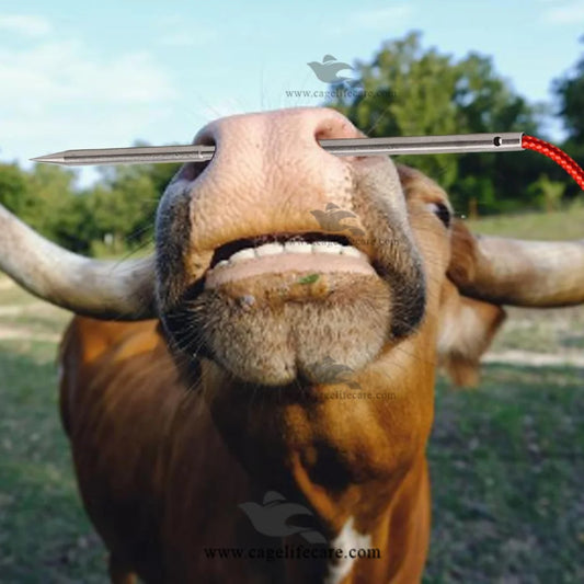 Steel livestock handling needle for cattle