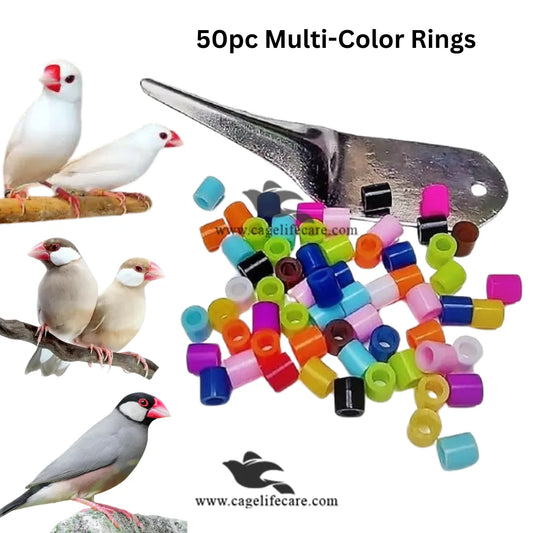 Java Plastic Rings – 50 Multi-Color Bird ID Bands