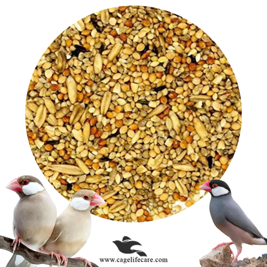 Java Sparrow Seed Mix