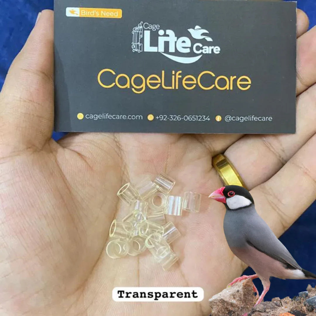 Java Sparrows Plastic Cut Rings – 3.5mm (Imported) Transparent Color Rings