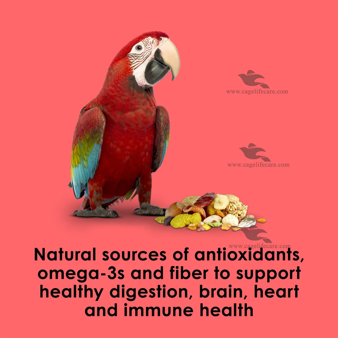 Kaytee Fiesta Macaw Food — Premium Gourmet Complete Diet for Macaws and Cockatoos