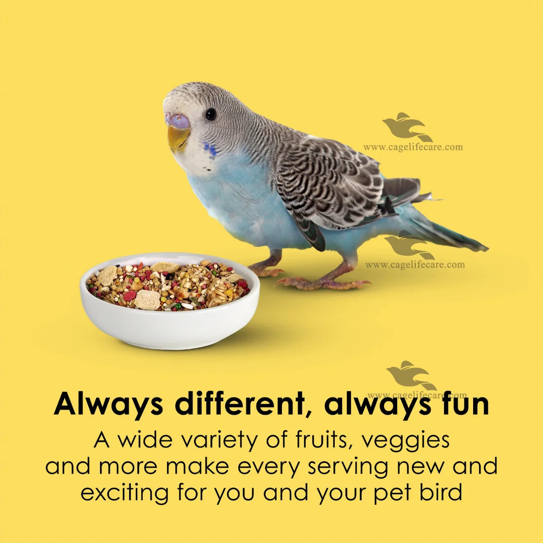Kaytee Fiesta Parakeet Bird Food available at Cage Life Care Pakistan
