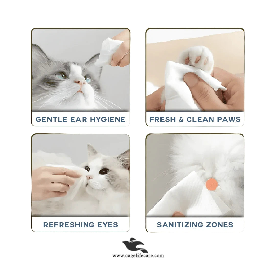 Biodegradable cat and dog cleaning wipes eco-friendly