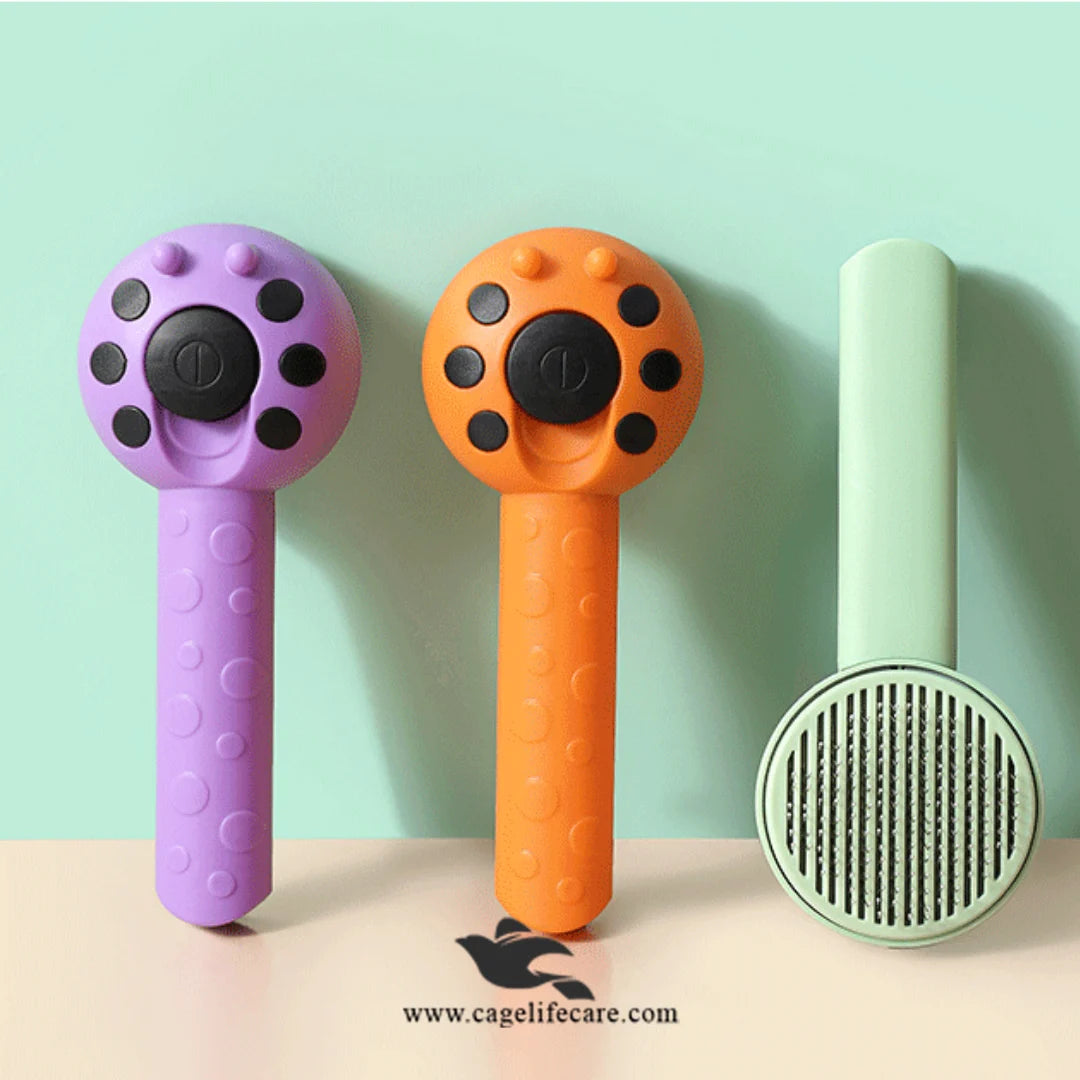 Imported Ladybug Brush in Red for Dog Grooming