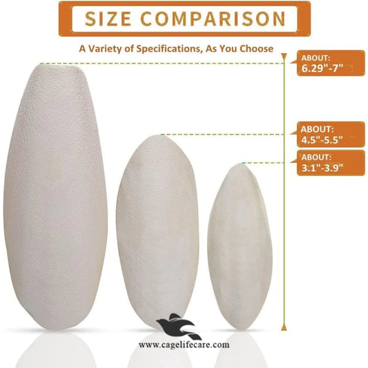 Large Cuttlefish Bone – Natural Calcium Source for Birds