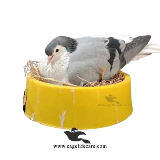 Large Nest Bowl with Coconut Mat For Pigeons & Poultry Pigeon on eggs