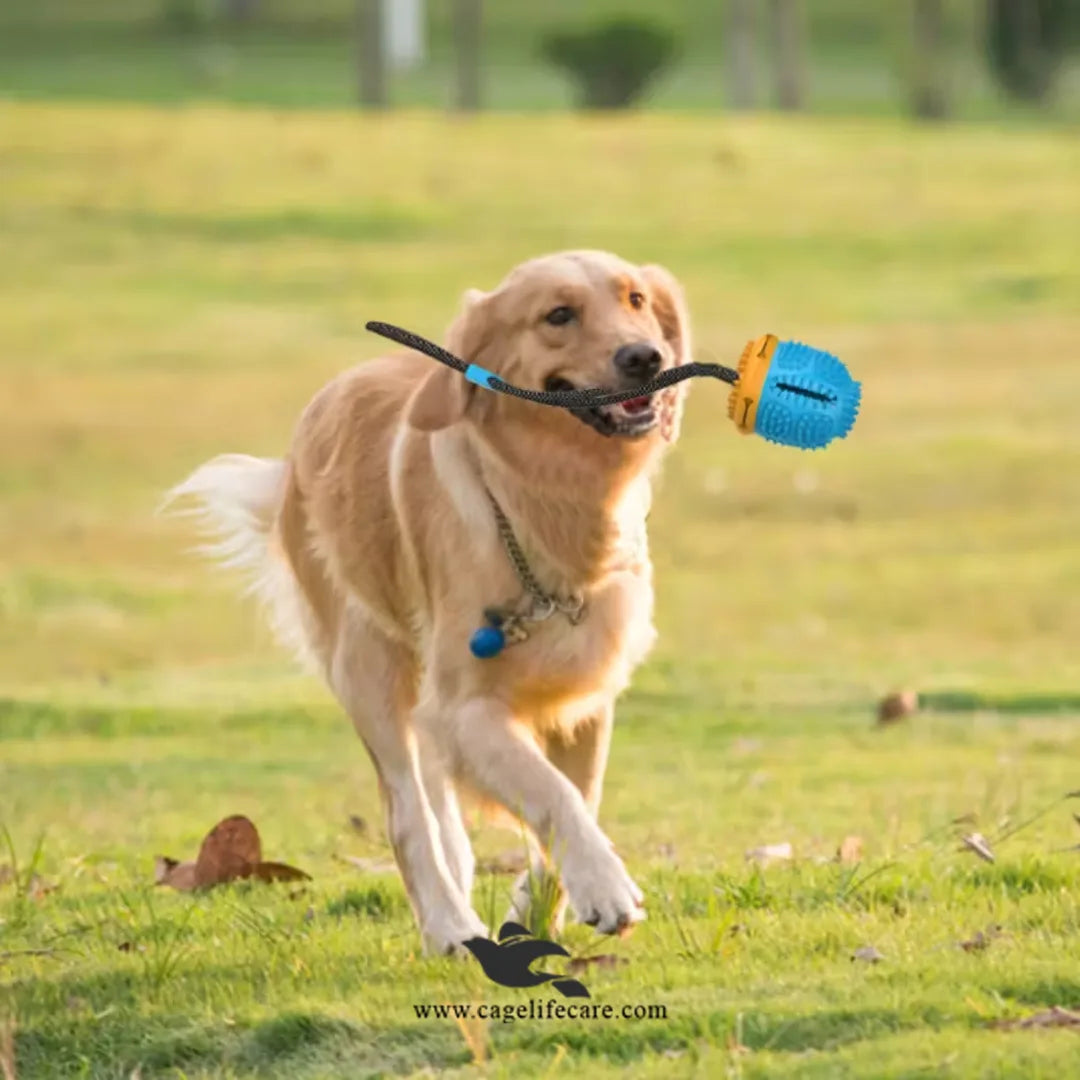 Large Teether for Dogs – Rope Ball Pull & Tug Toy with Treat Dispenser (LQ003)