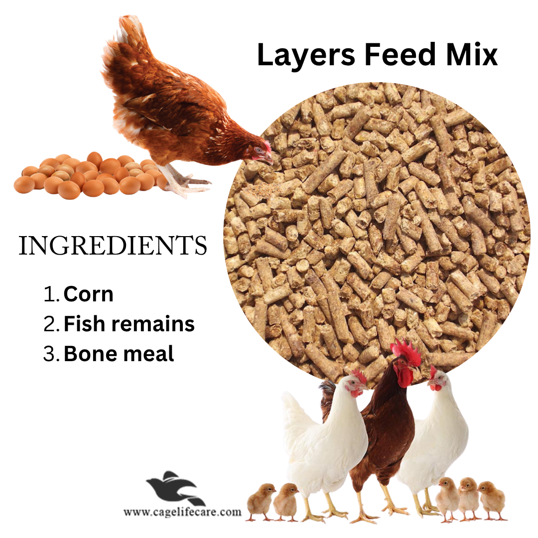 Layers Feed Mix
